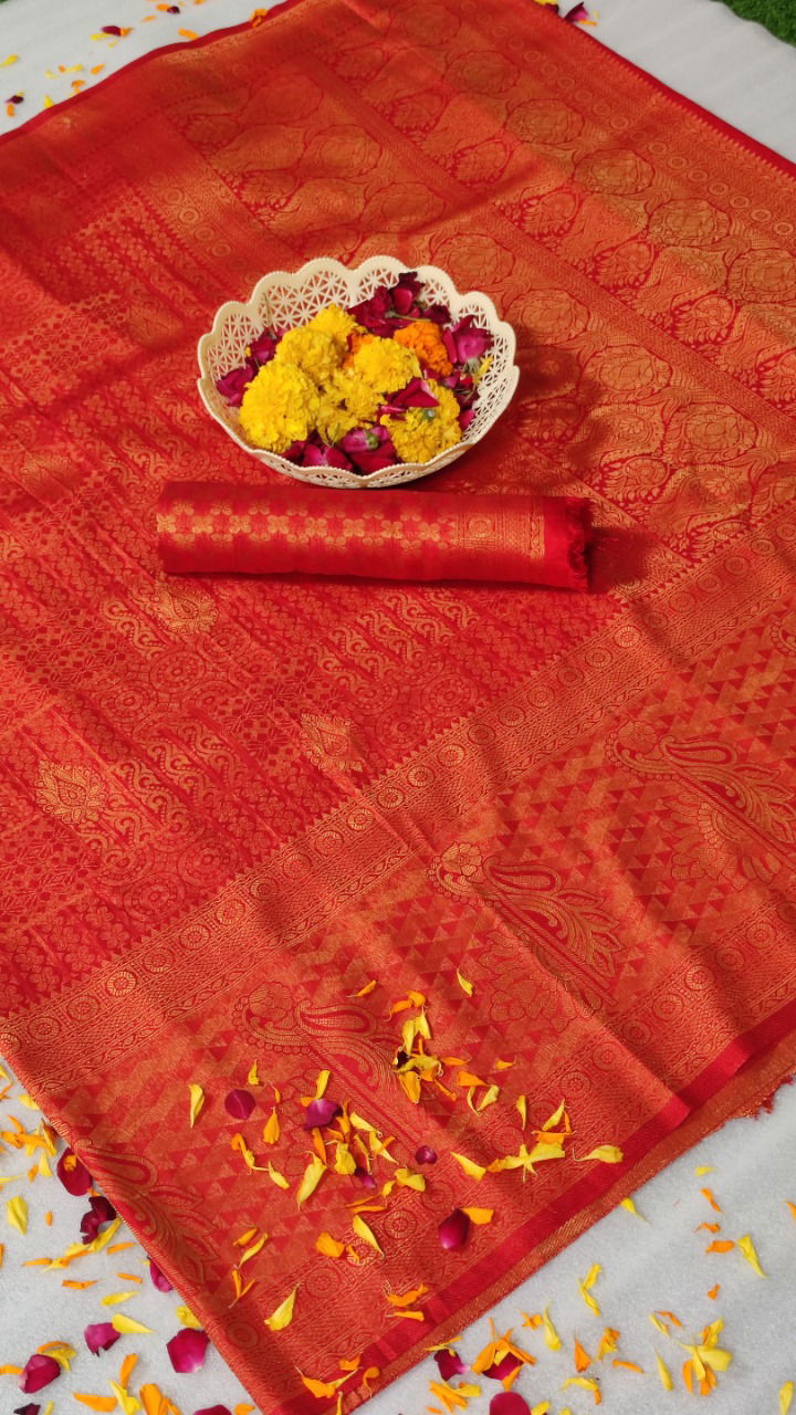 Ynf Nayani B Latest Fancy Exclusive Party Wear Silk Saree Collection